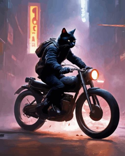 Black Cat On Motorcycle Diamond Painting