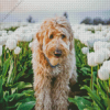 Brown Dog In Tulips Field Diamond Painting