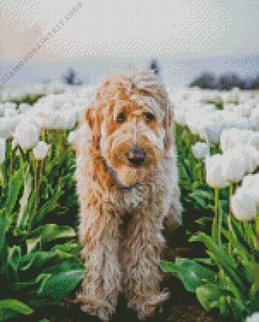 Brown Dog In Tulips Field Diamond Painting