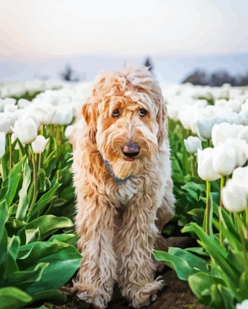 Brown Dog In Tulips Field Diamond Painting