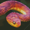 Bush Viper Diamond Painting