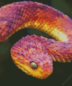 Bush Viper Diamond Painting