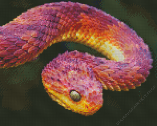 Bush Viper Diamond Painting