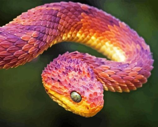 Bush Viper Diamond Painting