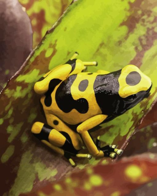 Dart Frogs Diamond Painting