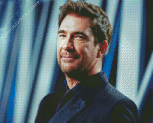 Dylan Mcdermott Actor Diamond Painting