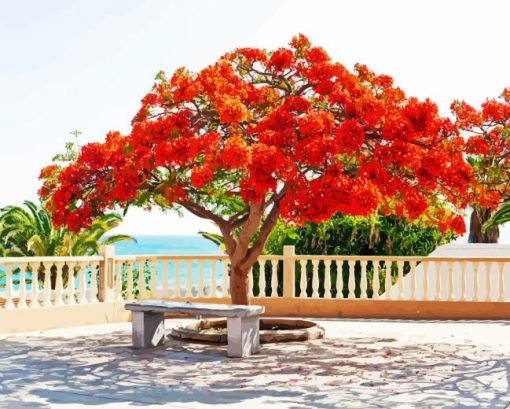 Flamboyant Tree Diamond Painting