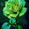 Green Rose Art Diamond Painting