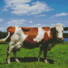 Guernsey Cow Diamond Painting