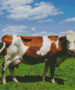 Guernsey Cow Diamond Painting