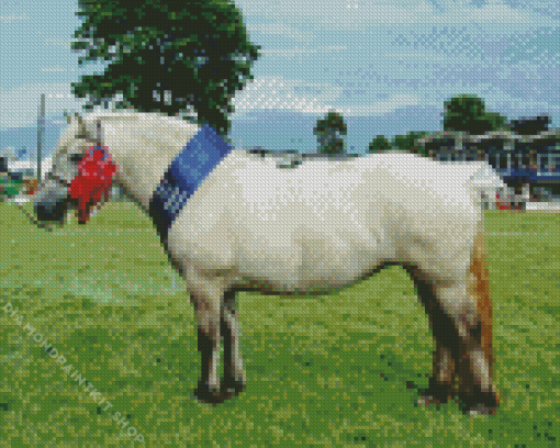 Highland Pony Diamond Painting