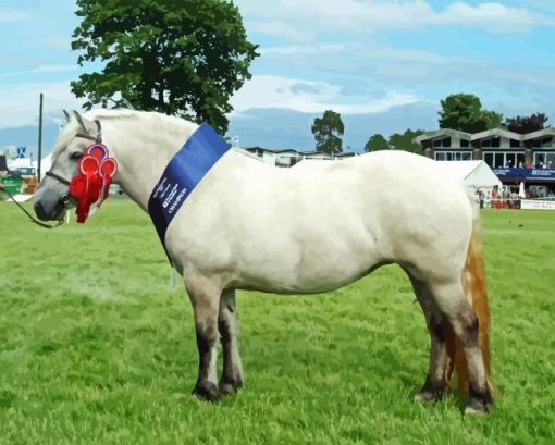 Highland Pony Diamond Painting