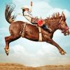 Horse Rodeo Diamond Painting