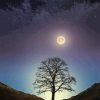 Moonlight Sycamore Gap Diamond Painting