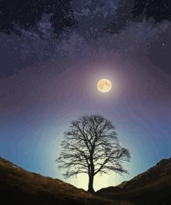 Moonlight Sycamore Gap Diamond Painting