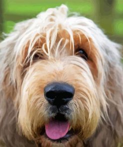 Otterhound Animal Diamond Painting