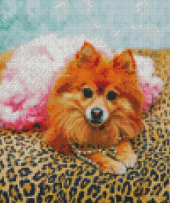 Pampered Dog Diamond Painting