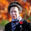 Princess Anne Diamond Painting