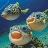 Puffer Fish Underwater Diamond Painting