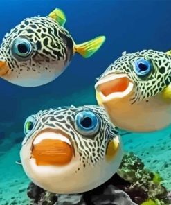 Puffer Fish Underwater Diamond Painting