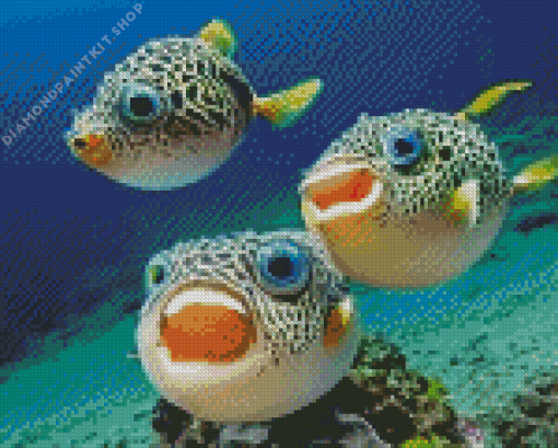 Puffer Fish Underwater Diamond Painting