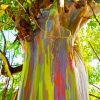 Rainbow Eucalyptus Tree Diamond Painting