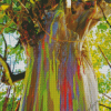 Rainbow Eucalyptus Tree Diamond Painting