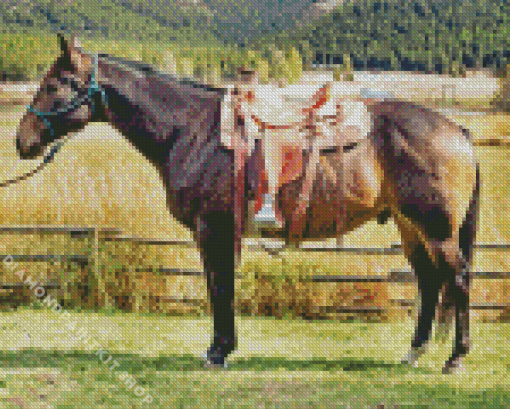Ranch Horse Diamond Painting