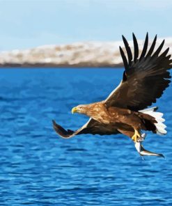 Sea Eagle Catching Fish Diamond Painting