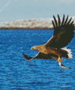 Sea Eagle Catching Fish Diamond Painting