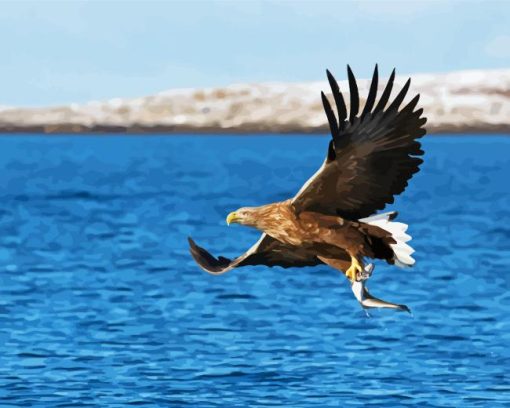 Sea Eagle Catching Fish Diamond Painting