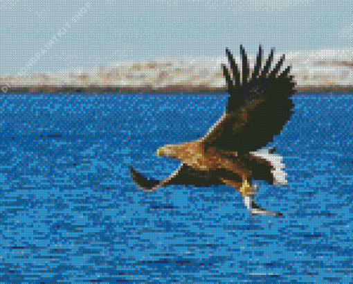 Sea Eagle Catching Fish Diamond Painting