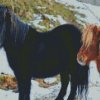 Shetland Ponies Diamond Painting