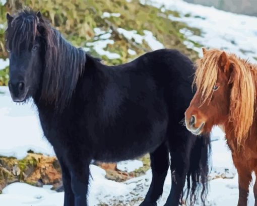 Shetland Ponies Diamond Painting