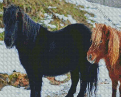 Shetland Ponies Diamond Painting