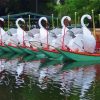 Swan Boats Diamond Painting