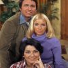 Three Company Diamond Painting