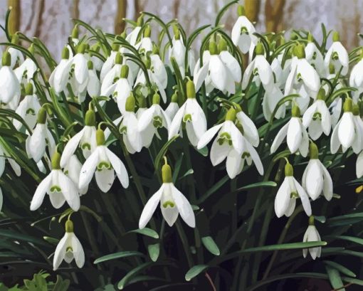 White Snowdrops Flower Diamond Painting