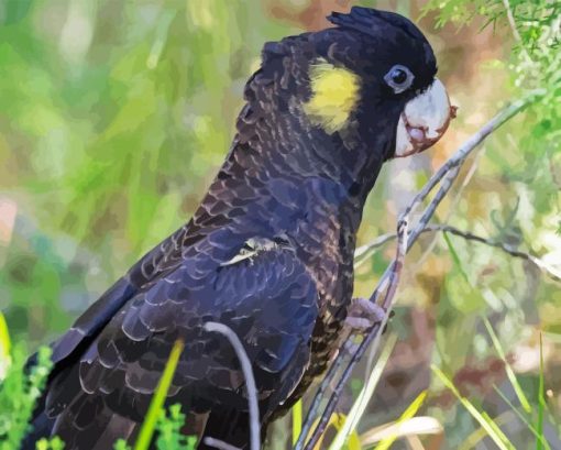 Yellow Tailed Black Cockatoo Bird Diamond Painting