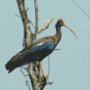 Black Ibis On Tree Diamond Painting