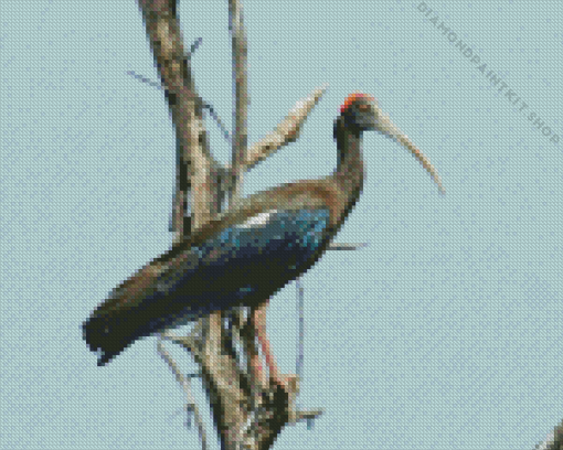 Black Ibis On Tree Diamond Painting