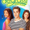 Degrassi Poster Diamond Painting