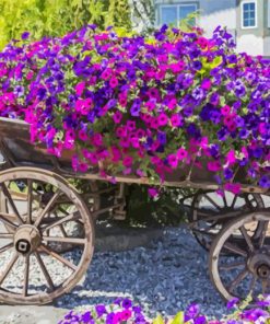Flowers In A Wagon Diamond Painting