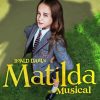 Matilda The Musical Diamond Painting