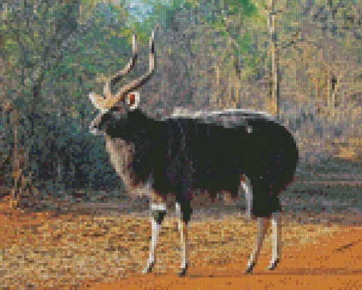 Nyala Animal Diamond Painting