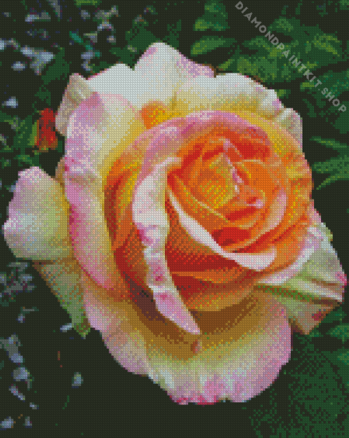 Rosa Peace Diamond Painting