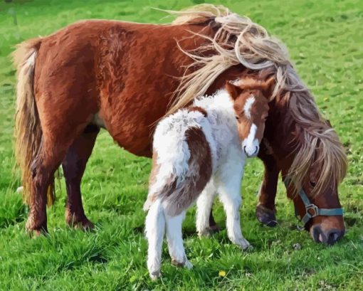 Shetland Pony Diamond Painting