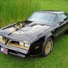 1978 Trans Am Diamond Painting