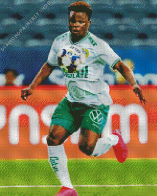 Akinkunmi Amoo Player Diamond Painting