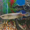 Arowana Fish Underwater Diamond Painting